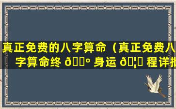 真正免费的八字算命（真正免费八字算命终 🌺 身运 🦟 程详批）